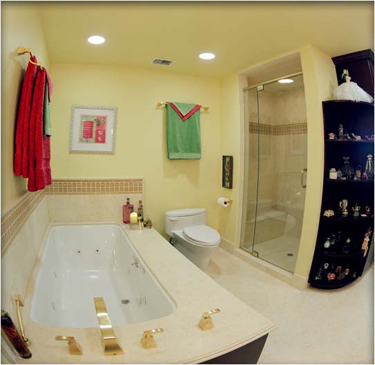 Los Angeles remodeling